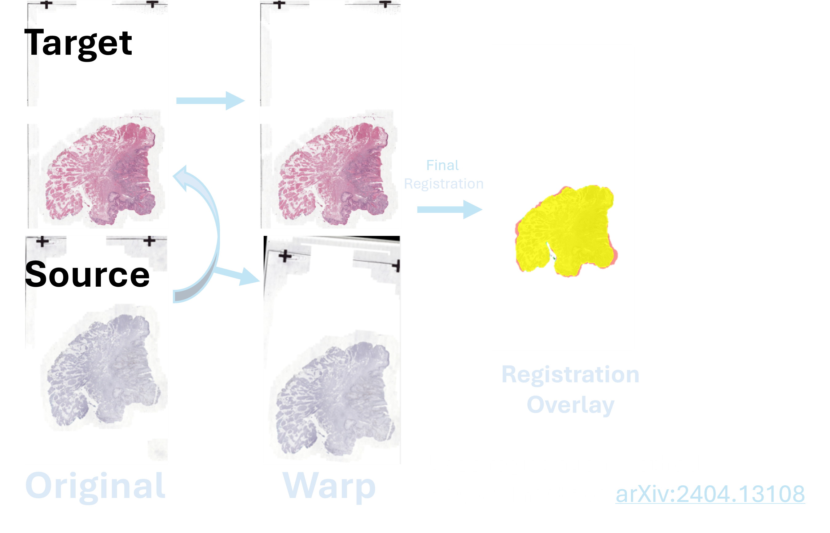 HistRegGUI / DeeperHistReg conceptual illustration