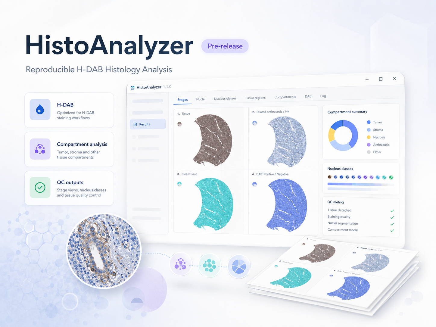 HistoAnalyzer conceptual illustration