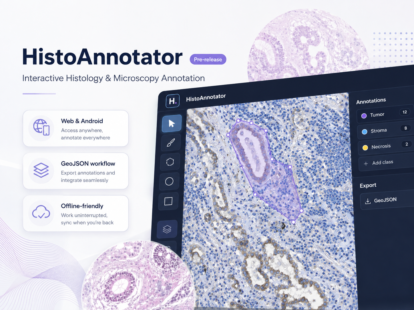 HistoAnnotator conceptual illustration
