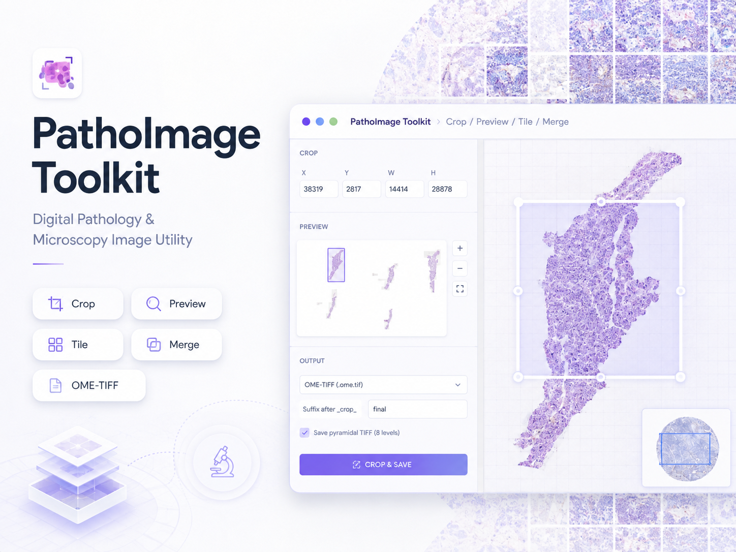 PathoImage Toolkit conceptual illustration